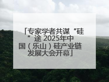 专家学者共谋“硅”途 2025年中国（乐山）硅产业链发展大会开幕
