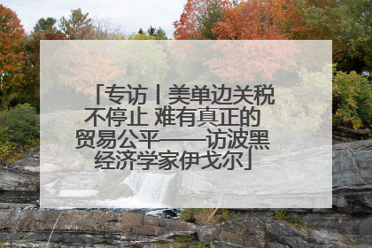 专访丨美单边关税不停止 难有真正的贸易公平——访波黑经济学家伊戈尔
