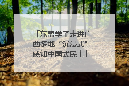 东盟学子走进广西多地“沉浸式”感知中国式民主