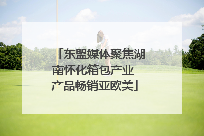 东盟媒体聚焦湖南怀化箱包产业 产品畅销亚欧美