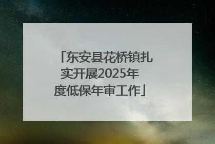 东安县花桥镇扎实开展2025年度低保年审工作