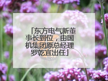 东方电气新董事长到位，由国机集团原总经理罗乾宜出任