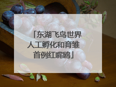 东湖飞鸟世界人工孵化和育雏首例红嘴鸥