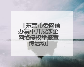 东营市委网信办集中开展涉企网络侵权举报宣传活动