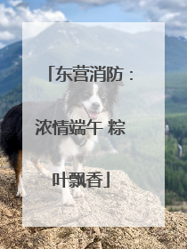 东营消防：浓情端午 粽叶飘香