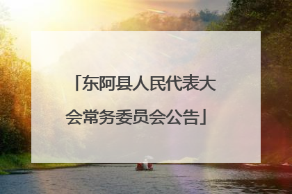 东阿县人民代表大会常务委员会公告