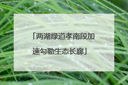 两湖绿道孝南段加速勾勒生态长廊