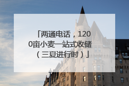 两通电话，1200亩小麦一站式收储（三夏进行时）