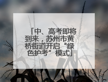 中、高考即将到来，苏州市黄桥街道开启“绿色护考”模式