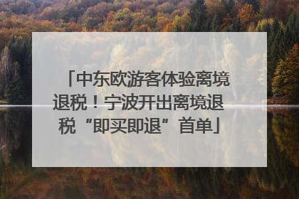 中东欧游客体验离境退税！宁波开出离境退税“即买即退”首单
