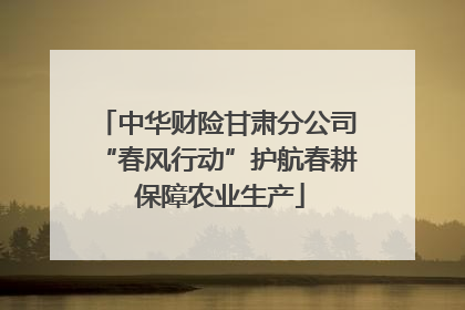 中华财险甘肃分公司“春风行动”护航春耕 保障农业生产