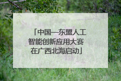 中国—东盟人工智能创新应用大赛在广西北海启动