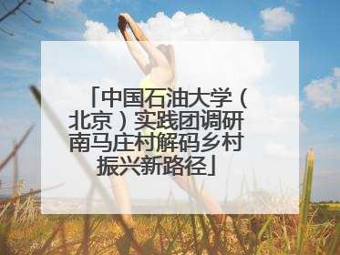 中国石油大学（北京）实践团调研南马庄村解码乡村振兴新路径