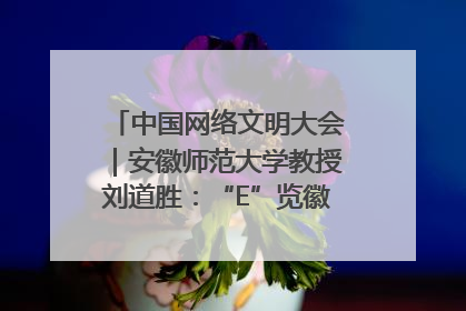 中国网络文明大会｜安徽师范大学教授刘道胜：“E”览徽风，构筑中华民族共有精神家园