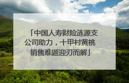 中国人寿财险涟源支公司助力，十甲村黄桃销售难题迎刃而解