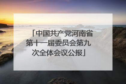 中国共产党河南省第十一届委员会第九次全体会议公报