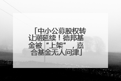 中小公募股权转让潮延续！德邦基金被“上架”，嘉合基金无人问津