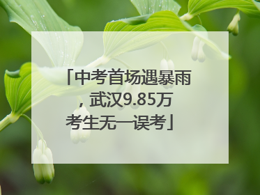 中考首场遇暴雨，武汉9.85万考生无一误考