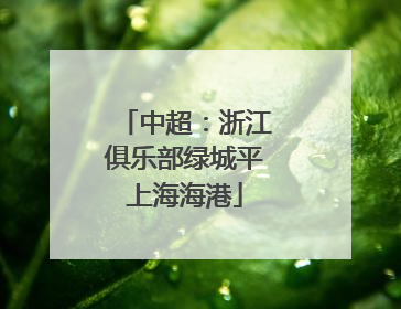 中超：浙江俱乐部绿城平上海海港