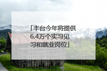丰台今年将提供6.4万个实习见习和就业岗位