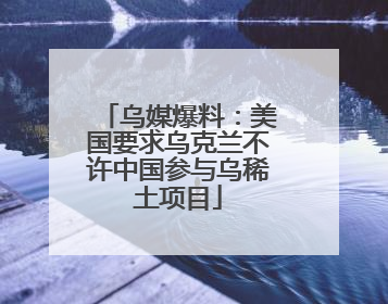 乌媒爆料：美国要求乌克兰不许中国参与乌稀土项目