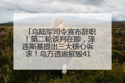 乌陆军司令宣布辞职！第二轮谈判在即，泽连斯基提出三大核心诉求！乌方透露摧毁41架俄战略轰炸机
