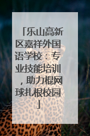 乐山高新区嘉祥外国语学校：专业技能培训，助力棍网球扎根校园