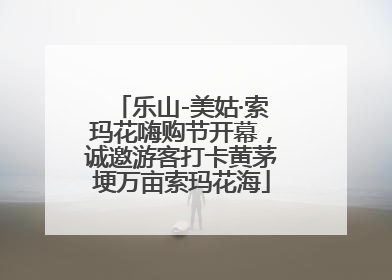 乐山-美姑·索玛花嗨购节开幕，诚邀游客打卡黄茅埂万亩索玛花海