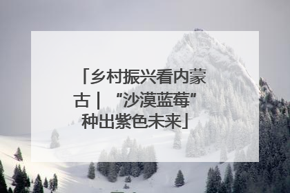 乡村振兴看内蒙古｜“沙漠蓝莓”种出紫色未来
