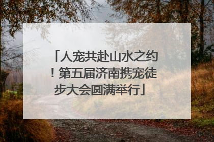 人宠共赴山水之约！第五届济南携宠徒步大会圆满举行