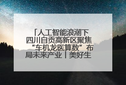 人工智能浪潮下 四川自贡高新区聚焦“车机龙医算数”布局未来产业丨美好生活有“盐”味