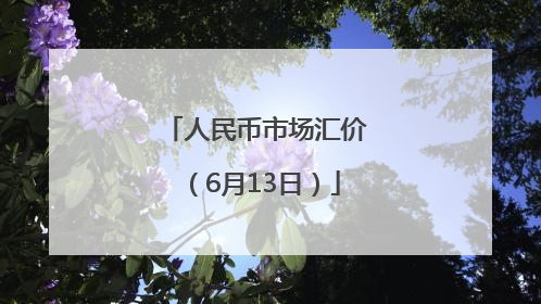 人民币市场汇价（6月13日）