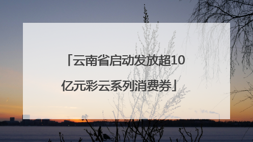 云南省启动发放超10亿元彩云系列消费券