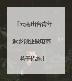 云南出台青年返乡创业做电商若干措施