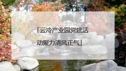 云冷产业园党建活动聚力清风正气