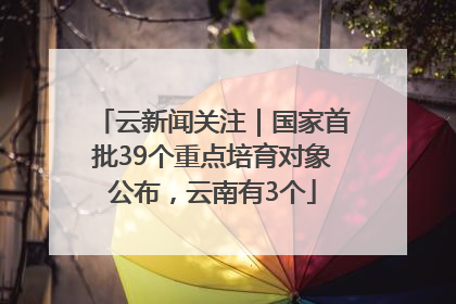 云新闻关注｜国家首批39个重点培育对象公布，云南有3个