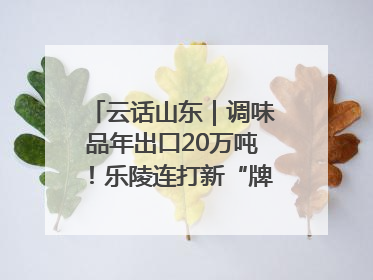 云话山东｜调味品年出口20万吨！乐陵连打新“牌”助力企业出海