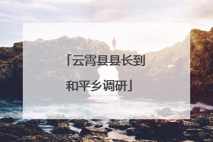 云霄县县长到和平乡调研