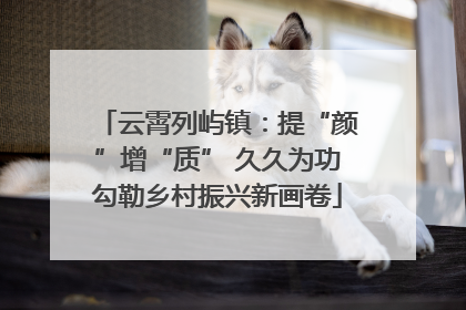 云霄列屿镇：提“颜”增“质” 久久为功勾勒乡村振兴新画卷