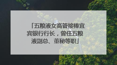 五粮液女高管接棒宜宾银行行长，曾任五粮液副总、董秘等职