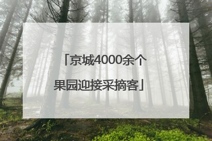 京城4000余个果园迎接采摘客
