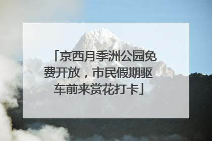 京西月季洲公园免费开放，市民假期驱车前来赏花打卡