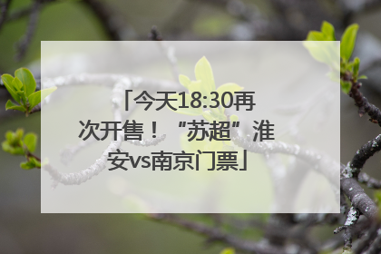 今天18:30再次开售！“苏超”淮安vs南京门票