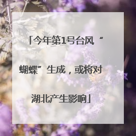 今年第1号台风“蝴蝶”生成，或将对湖北产生影响