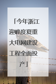 今年浙江迎峰度夏重大电网建设工程全面投产