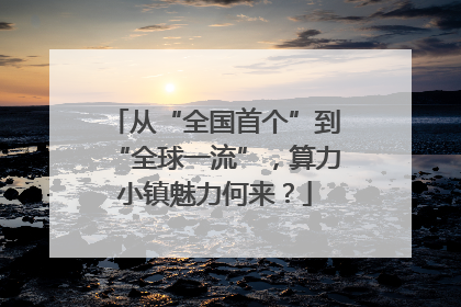 从“全国首个”到“全球一流”，算力小镇魅力何来？