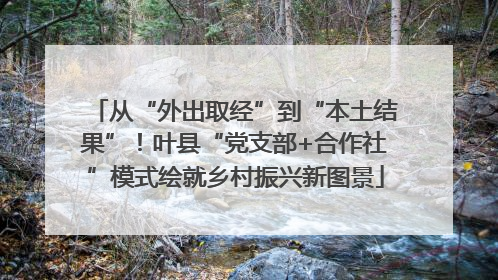 从“外出取经”到“本土结果”！叶县“党支部+合作社”模式绘就乡村振兴新图景