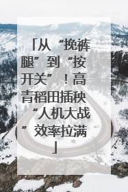 从“挽裤腿”到“按开关”！高青稻田插秧“人机大战”效率拉满