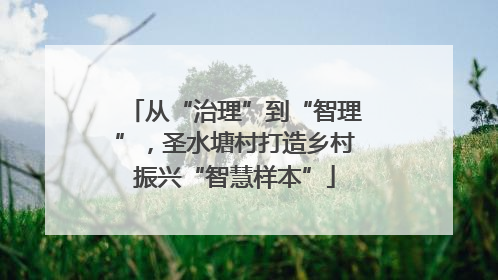 从“治理”到“智理”，圣水塘村打造乡村振兴“智慧样本”