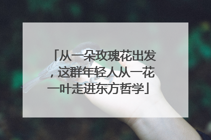 从一朵玫瑰花出发，这群年轻人从一花一叶走进东方哲学